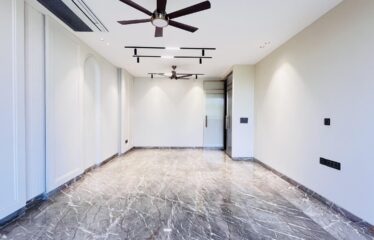 Super luxurious ground floor available for rent in green park extension