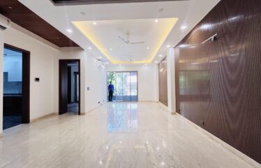 Super luxury ground floor for sale in green park extension