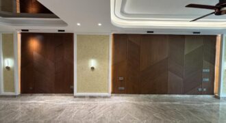 luxurious second floor available for rent in green park extension
