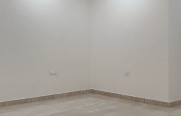 Super luxurious First floor 800sqyd 4bhk for rent in Panchsheel Park