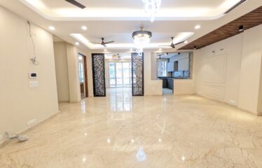 Brand new First floor 300sqyd 4bhk semi furnished for rent in hauz khas