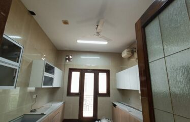 Newly Renovated First Floor 800sqyd 4bhk for rent in Panchsheel Park