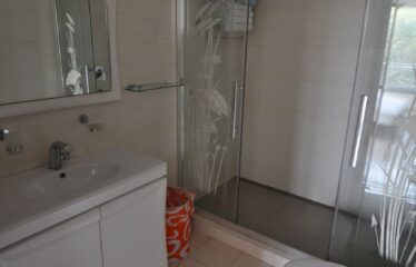 Ultra luxury Park facing Corner First floor 425sqyd 4bhk  for rent in Gulmohar Park