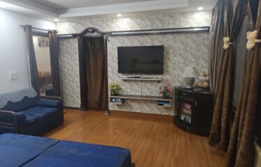 Luxurious Duplex Of Basement And Ground Floor For Rent In Panchsheel Park