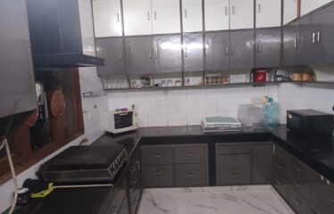 Luxurious Duplex Of Basement And Ground Floor For Rent In Panchsheel Park