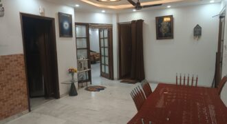 Luxurious Duplex Of Basement And Ground Floor For Rent In Panchsheel Park