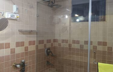 Luxurious Duplex Of Basement And Ground Floor For Rent In Panchsheel Park