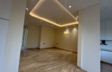 luxurious Third Floor With Terrace For Rent In Anand Lok