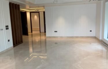 Exclusive Deal For Rent in Vasant Vihar