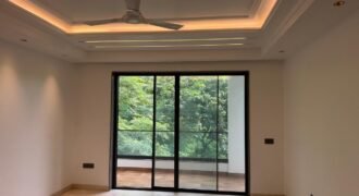 Super Luxurious Duplex Ground Floor with Basement Available for Rent in Navjeevan Vihar