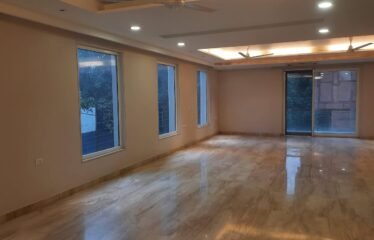 Luxurious First Floor Available for Rent in Aradhna Enclave